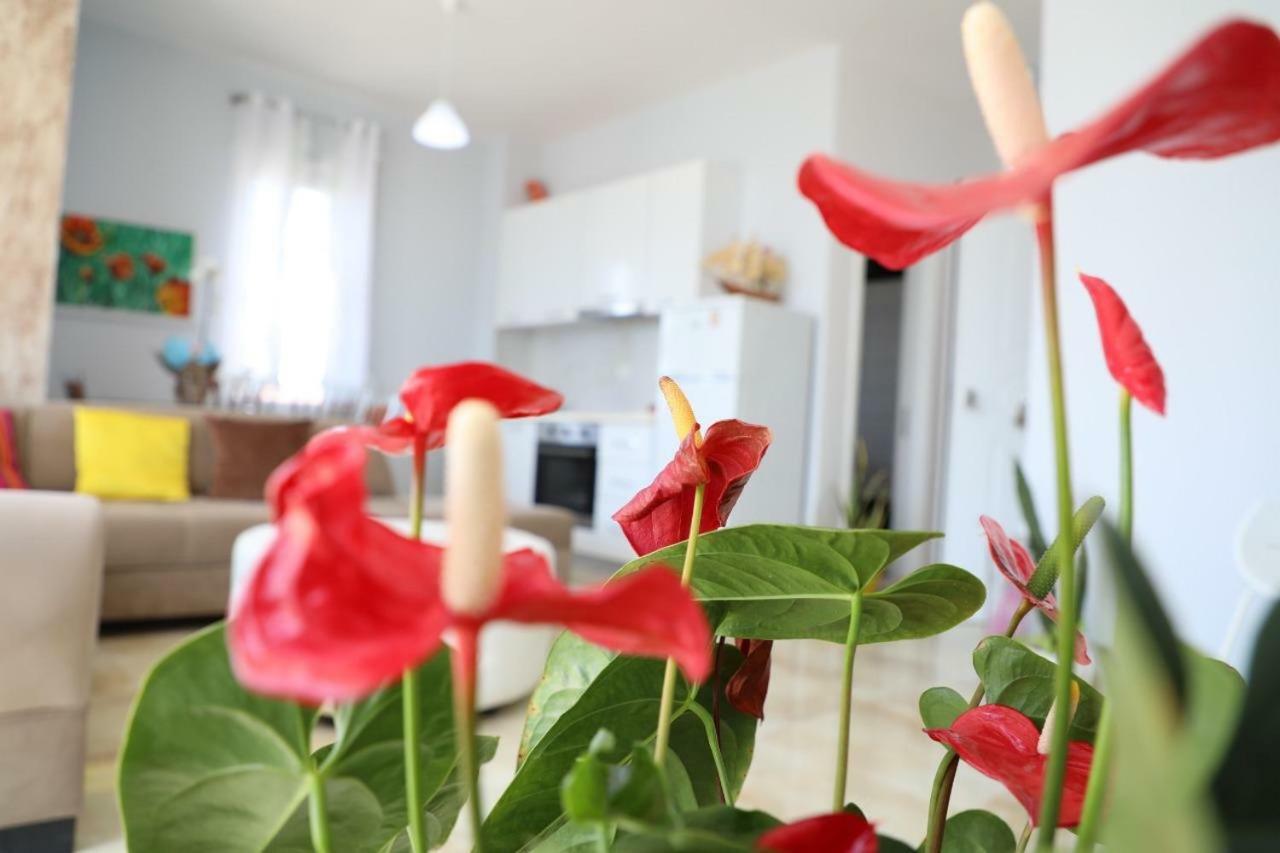 Hakunna Matata Residence & Apartments Vlore Ngoại thất bức ảnh
